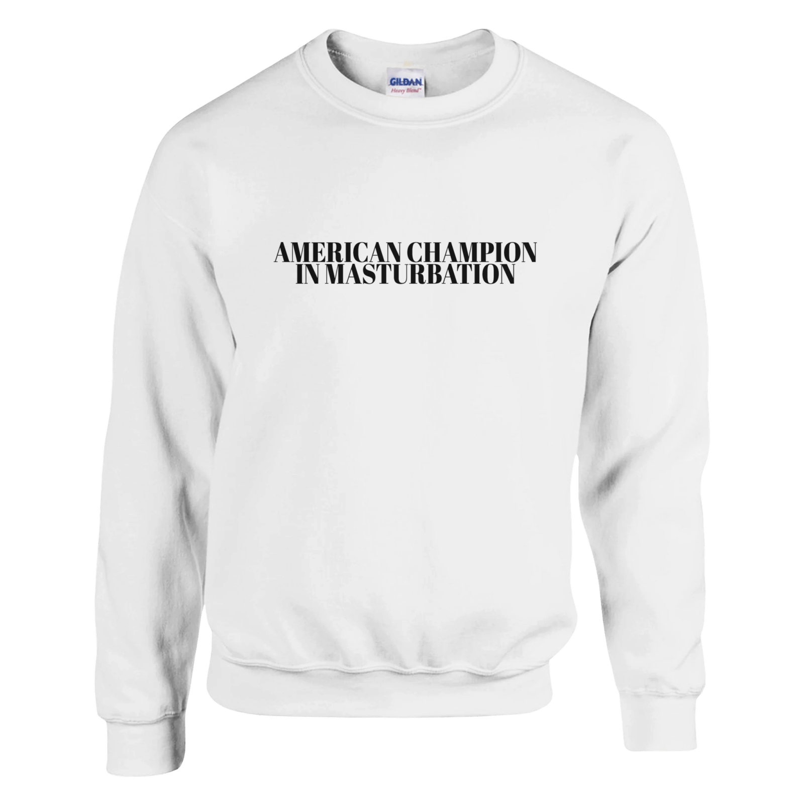 American Champion In Masturbation Pullover - TheShirtless