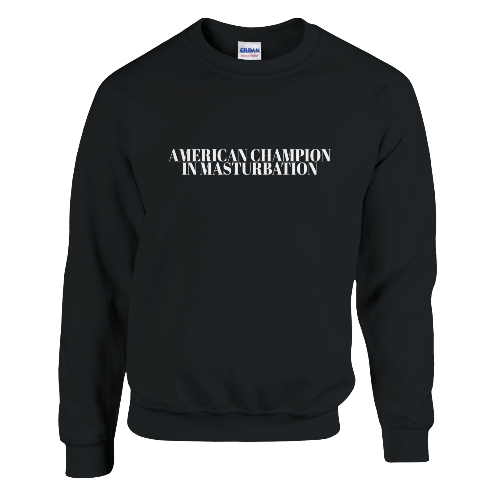 American Champion In Masturbation Pullover - TheShirtless