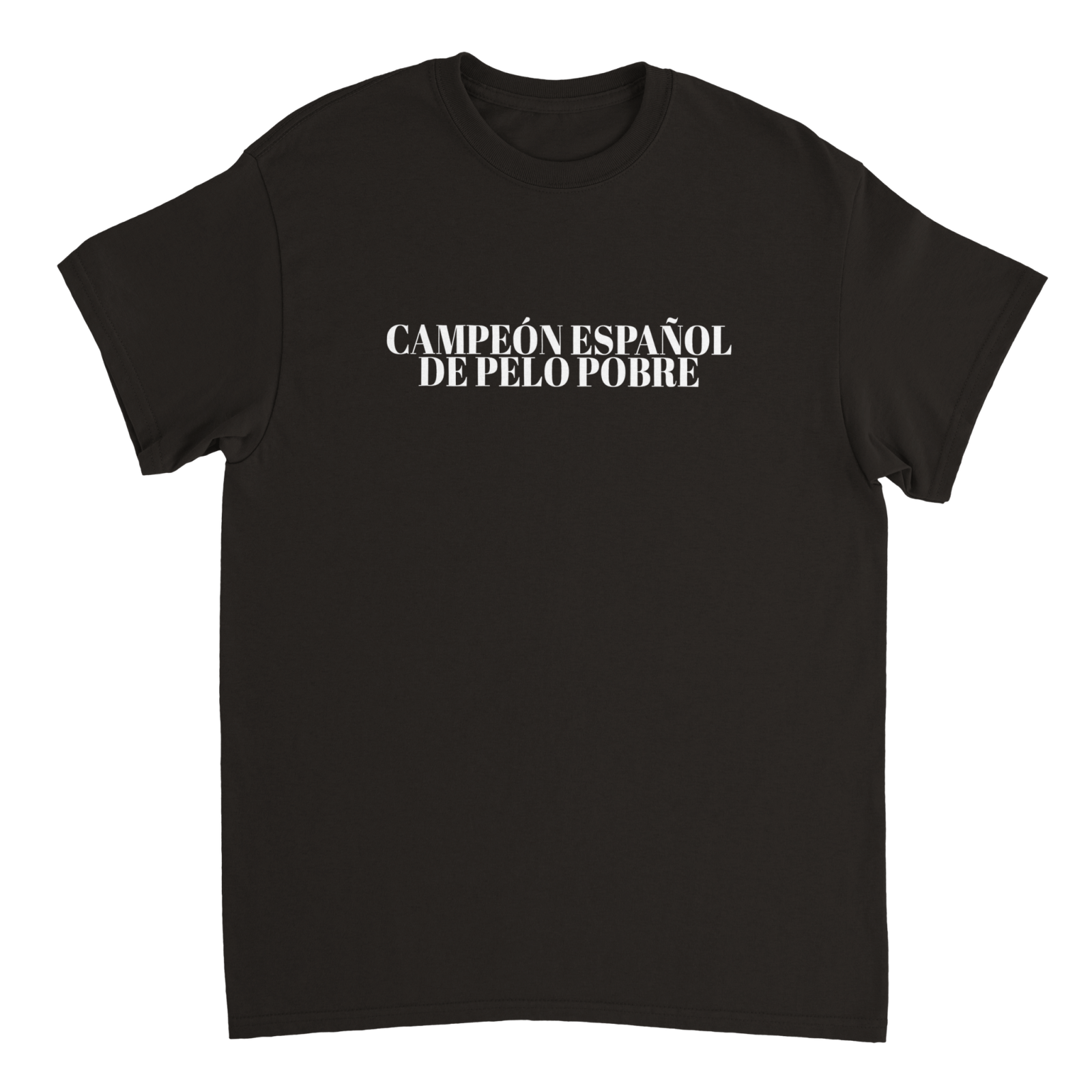 Camiseta Campeón Español De Pelo Pobre - TheShirtless