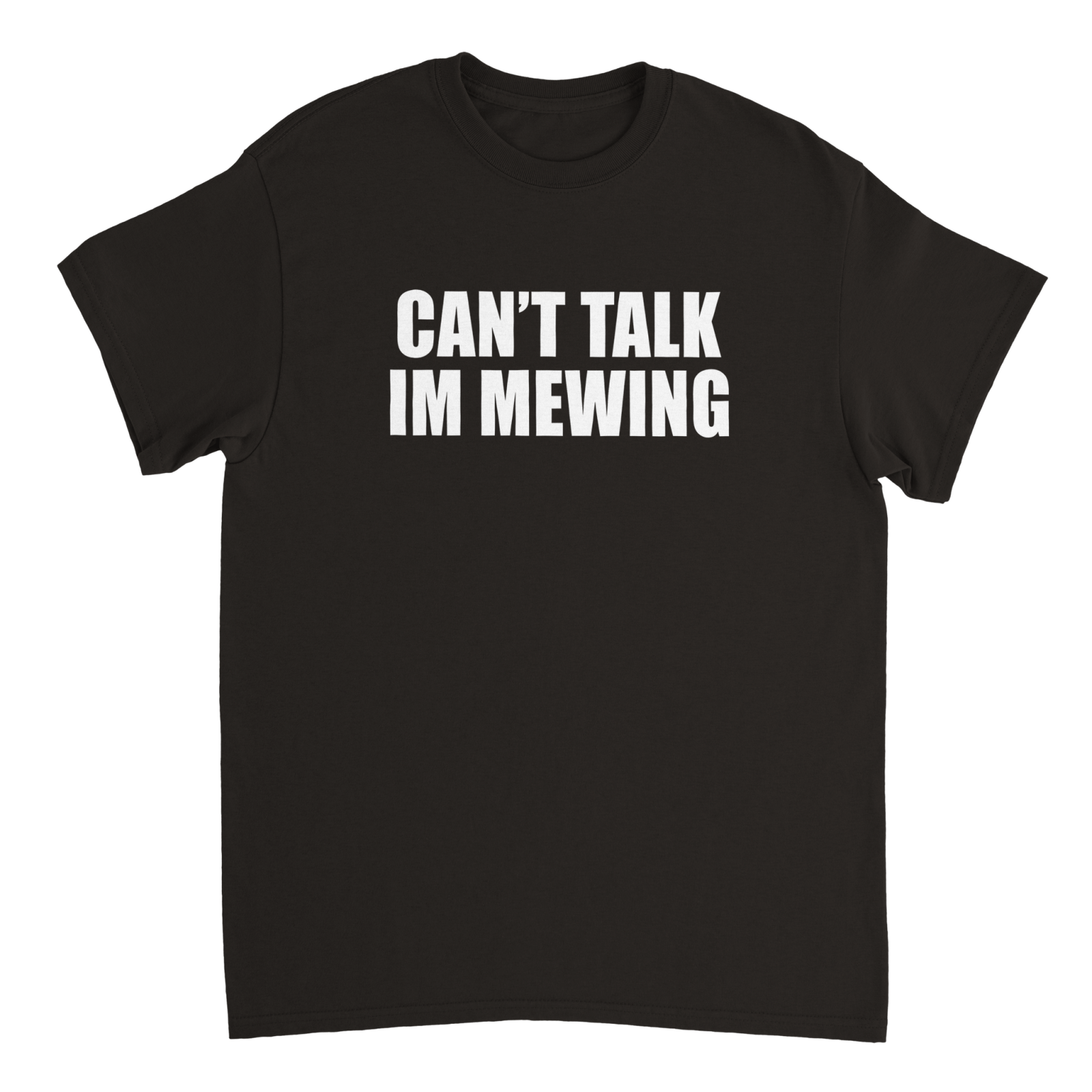 CAN'T TALK IM MEWING T - SHIRT - TheShirtless