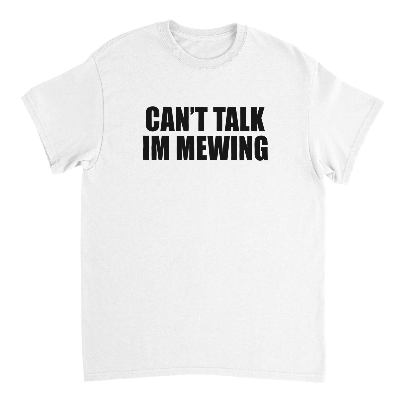 CAN'T TALK IM MEWING T - SHIRT - TheShirtless