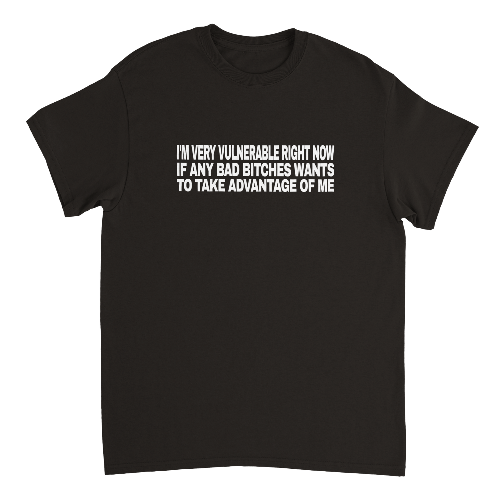 I'm Very Vulnerable Right Now If Any Bad Bitches Wants To Take Advantage Of Me T-shirt - TheShirtless