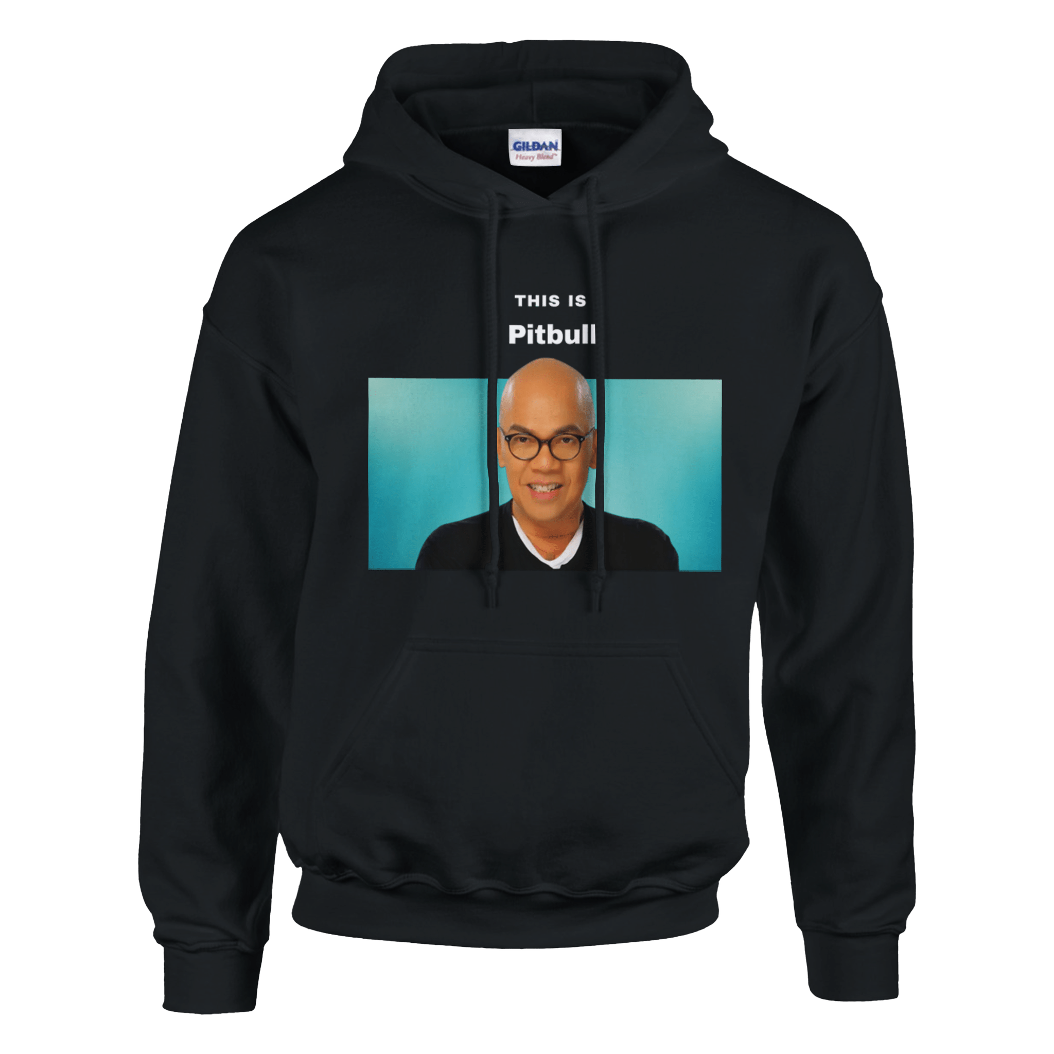 This Is Pitbull Hoodie - TheShirtless