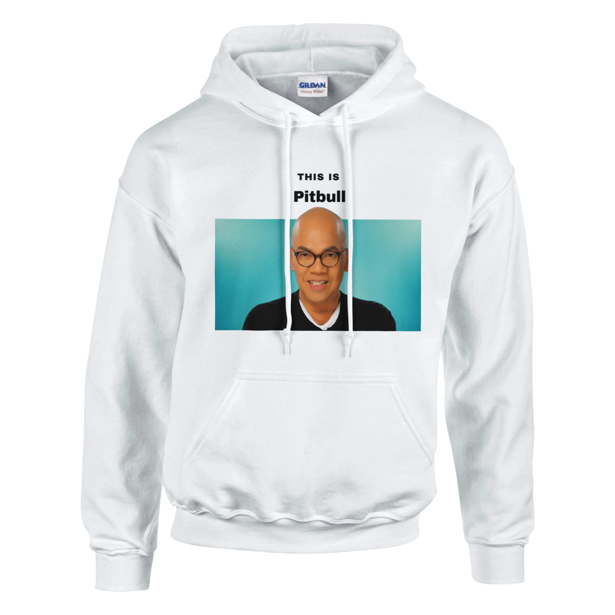 This Is Pitbull Hoodie - TheShirtless